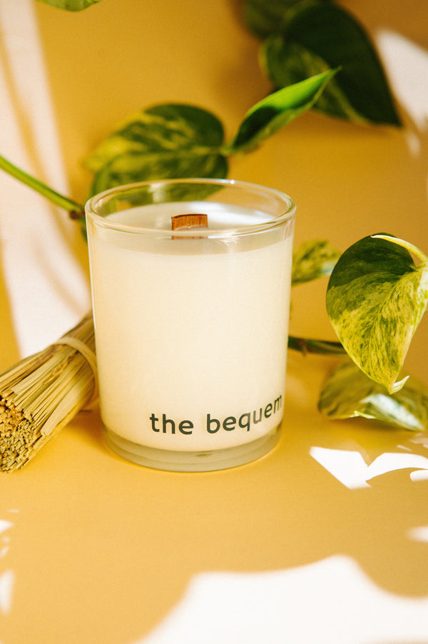 Vetiver soy wax candle by The Bequem with wooden wick in clear glass jar on yellow background with green leaves